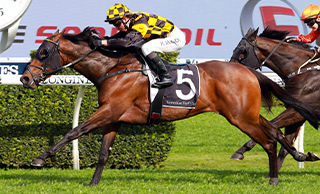  Dual Karaka Million winner Probabeel (NZ) wins the A$160,000 Group Three Bill Ritchie Handicap (1400m) at Randwick.